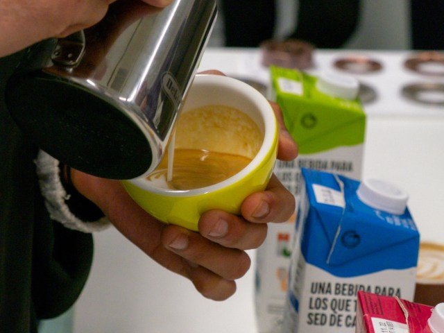 Mare Terra Coffee Institute